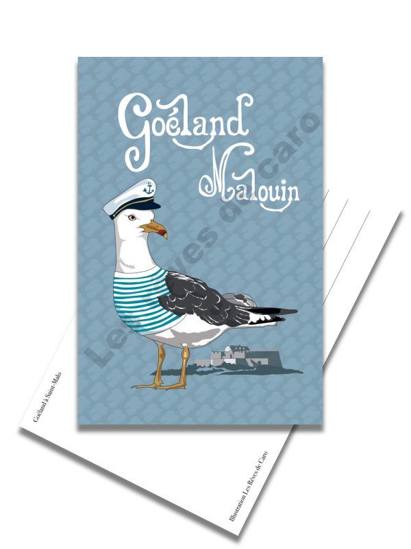carte-postale-goeland-saint-malo-les-reves-de-caro