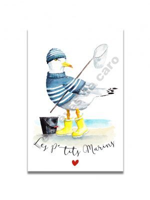 cartes-postales-ptits-marins-goeland-les-reves-de-caro