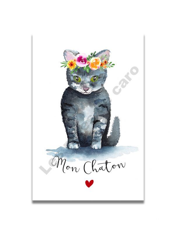 cartes-postales-mon-chaton-les-reves-de-caro