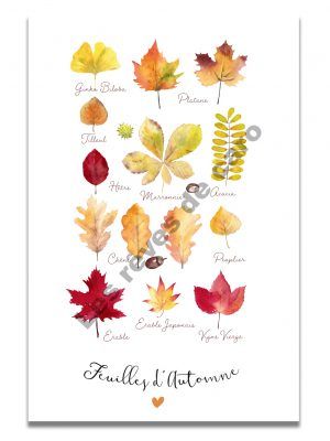 affiche-aquarelle-feuilles-automne-les-reves-de-caro